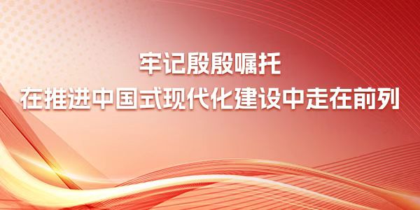  牢記殷殷囑托 在推進(jìn)中國式現(xiàn)代化建設(shè)中走在前列